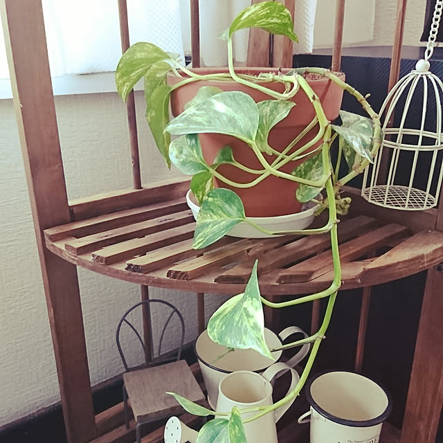 minatoさんの実例写真