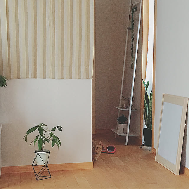 ailleenさんの実例写真