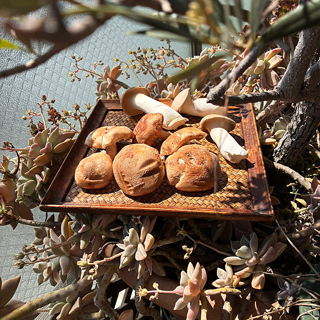 maqfabさんの部屋