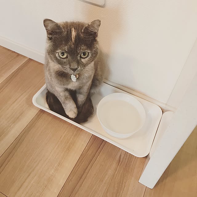 emさんの実例写真
