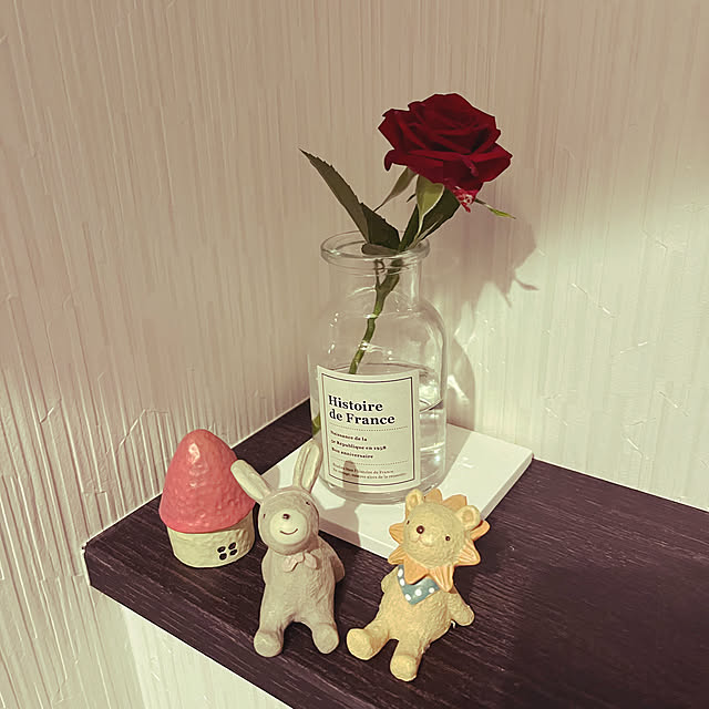 toraryuさんの実例写真