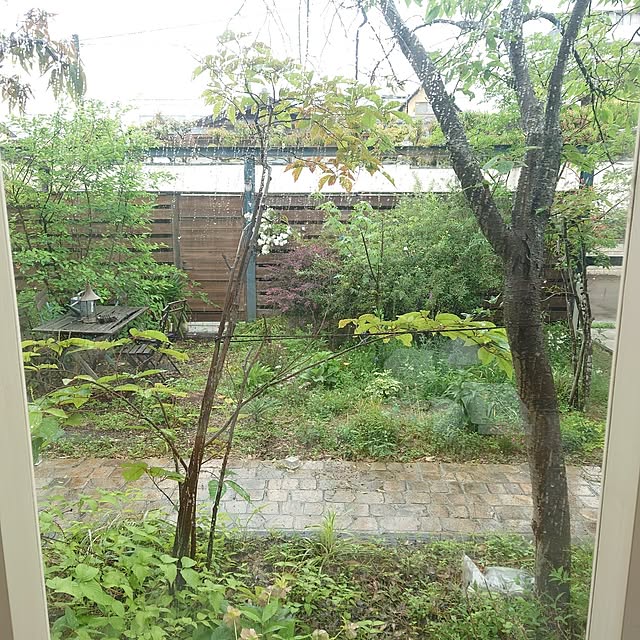 asmaさんの部屋
