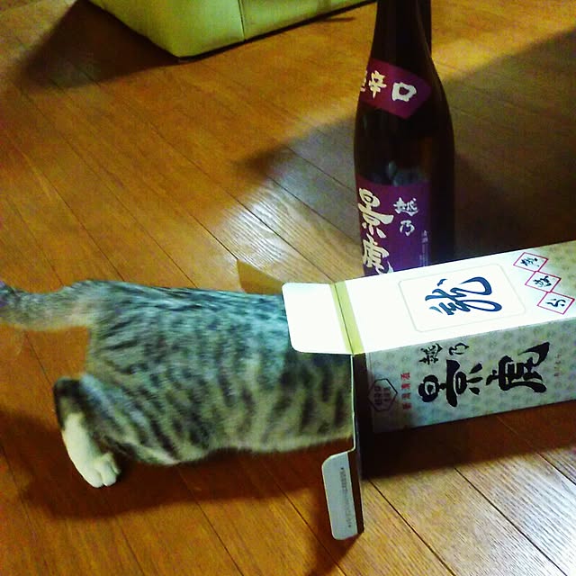 syungikuさんの実例写真
