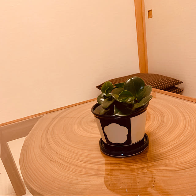 Petiotさんの実例写真