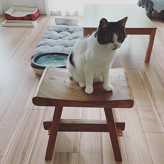 hemukoさんの実例写真