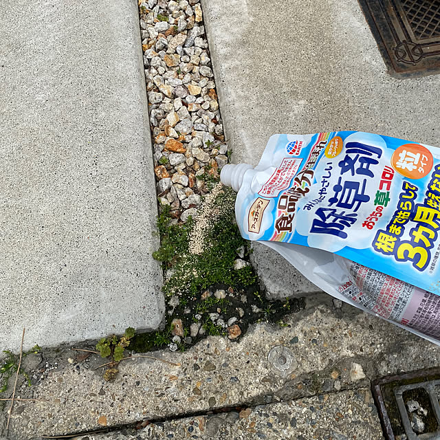 sznoieさんの部屋