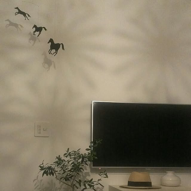 naoさんの実例写真