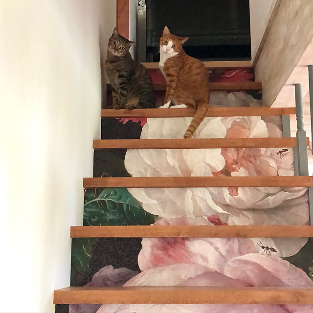 akaneさんの実例写真