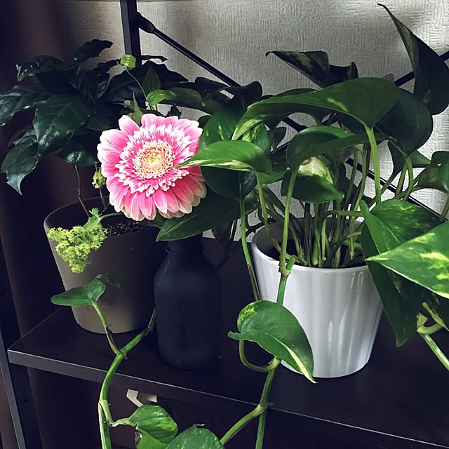 room0610さんの実例写真