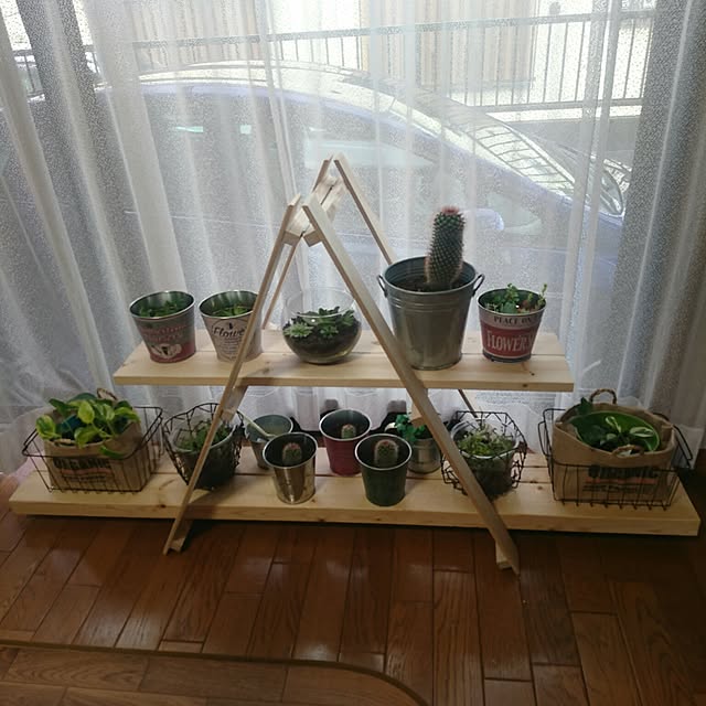 Yasukoさんの実例写真