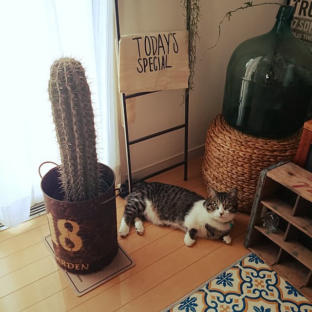 fukusukeさんの実例写真