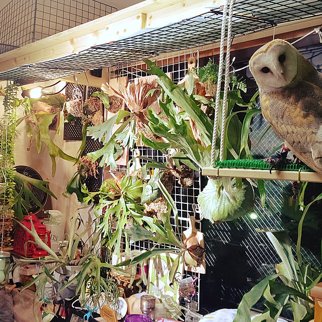 mikiさんの実例写真