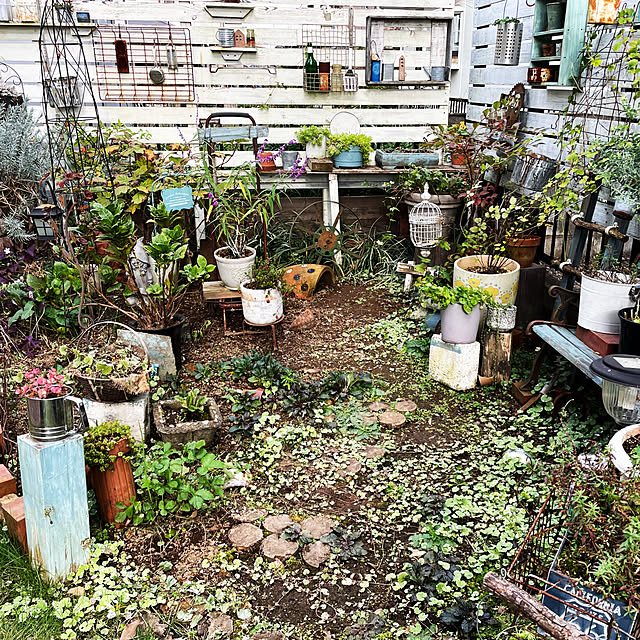 kokko3さんの実例写真