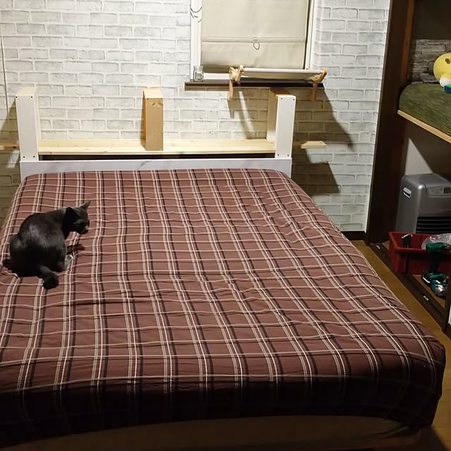 raraさんの実例写真