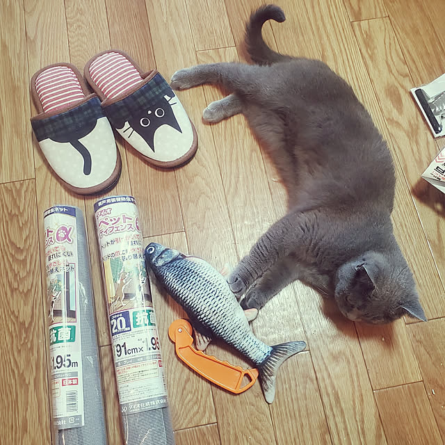 masSimonさんの実例写真