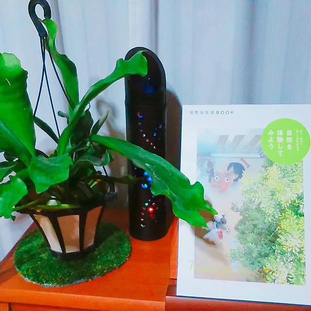 hana4504さんの実例写真