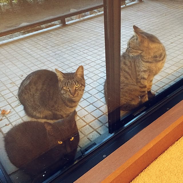 lenkaさんの実例写真