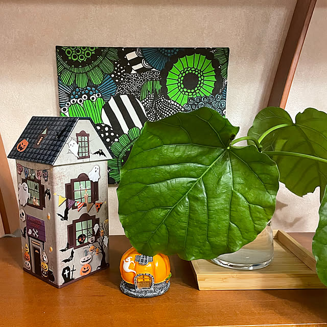 kuikoさんの実例写真