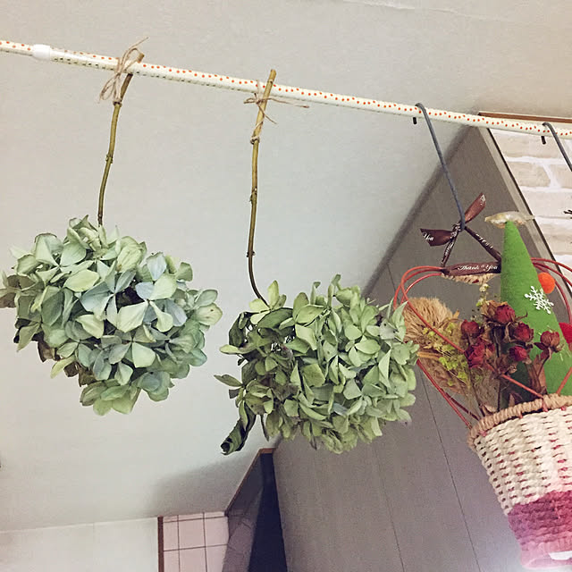 takakoさんの実例写真