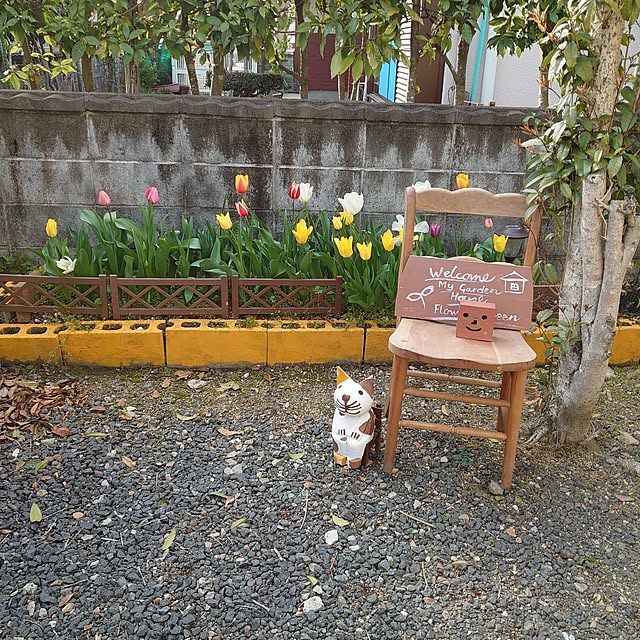 fukuさんの実例写真