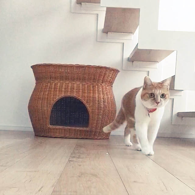 Yさんの実例写真