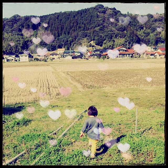 実例写真
