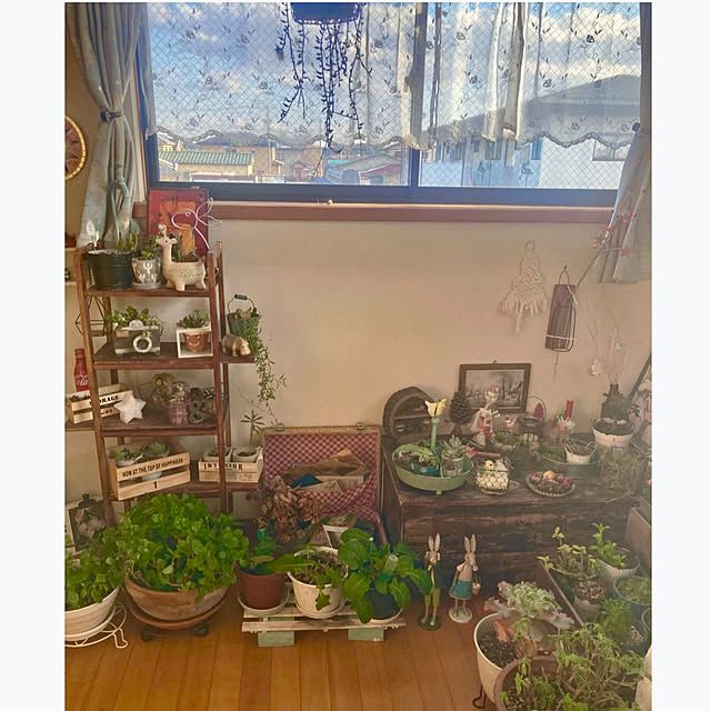 CoCo0617さんの部屋