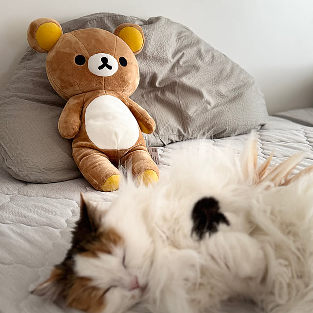 chulashihoさんの実例写真