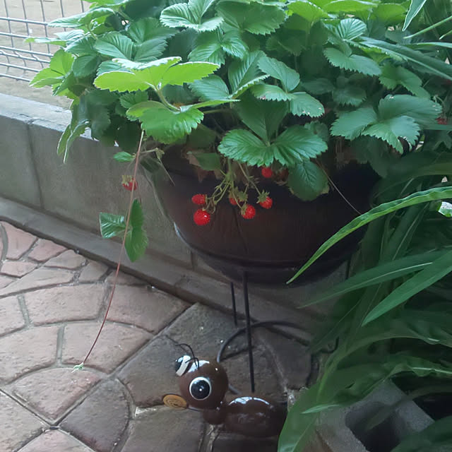 mmpoohさんの実例写真