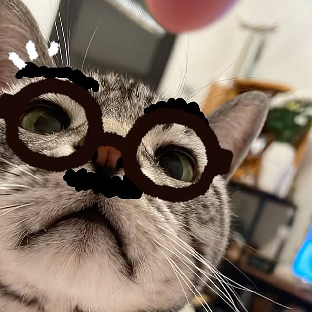 yoshirinさんの実例写真