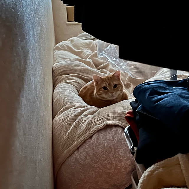 Atelier.mさんの実例写真