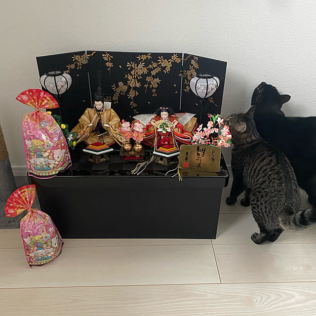 hiroさんの実例写真
