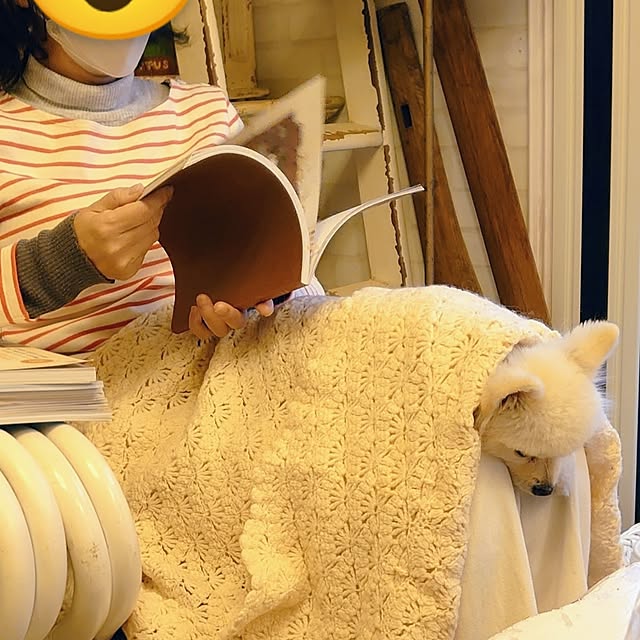 akaidarumaさんの実例写真