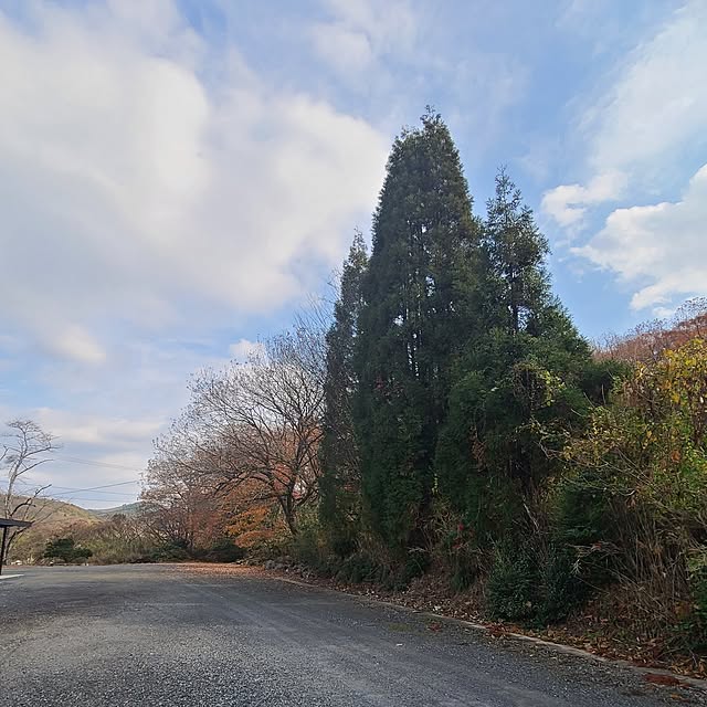 Rubiconさんの部屋