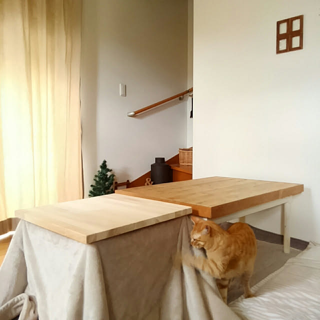 mayutan.さんの実例写真