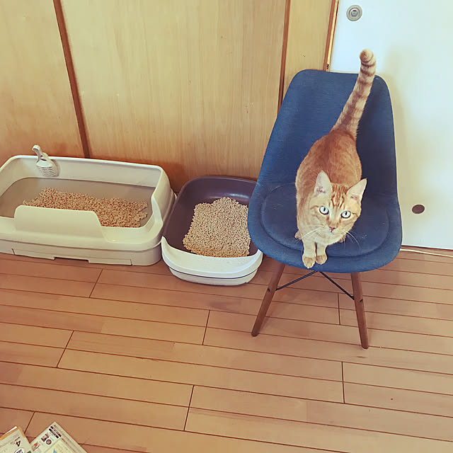kou-kitiさんの部屋