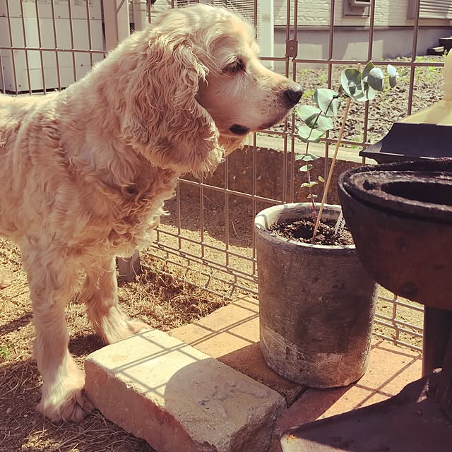 marley0209さんの実例写真