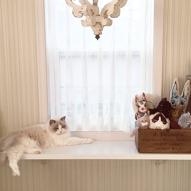 yuchiさんの実例写真