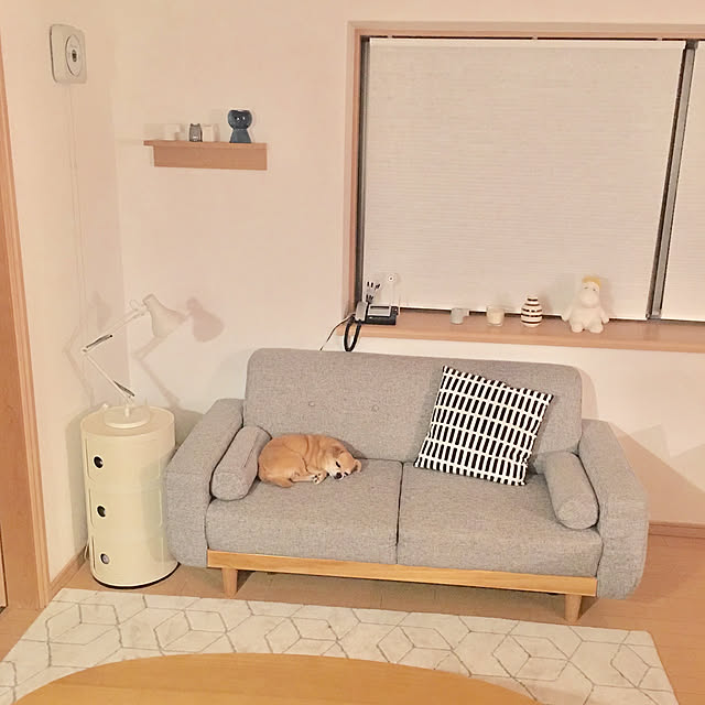 haritakaさんの実例写真