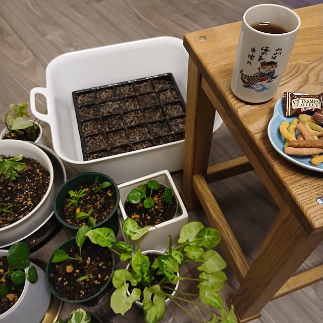 chidorinさんの部屋