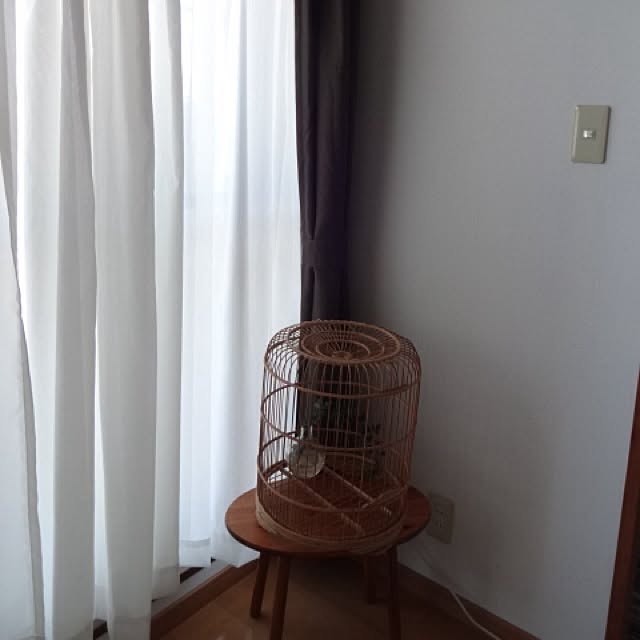 mameさんの実例写真