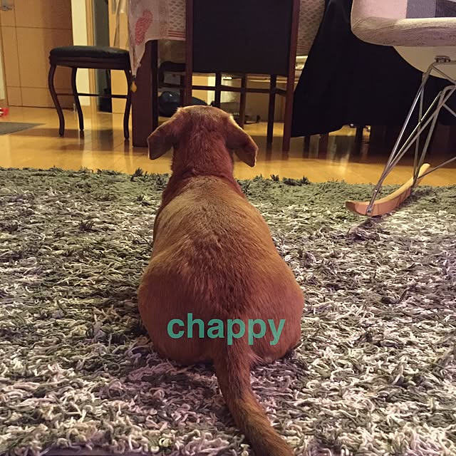 chappyさんの実例写真