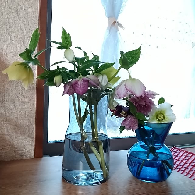 kana_ciiさんの実例写真
