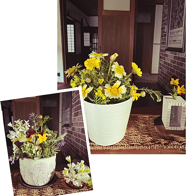 cotaさんの部屋