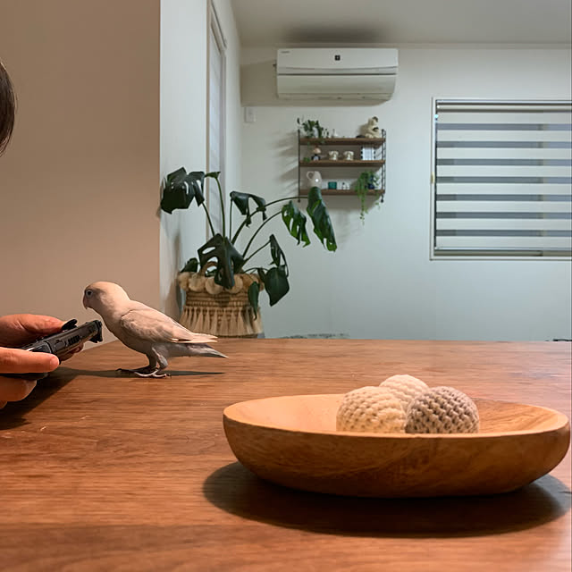 sakiさんの実例写真