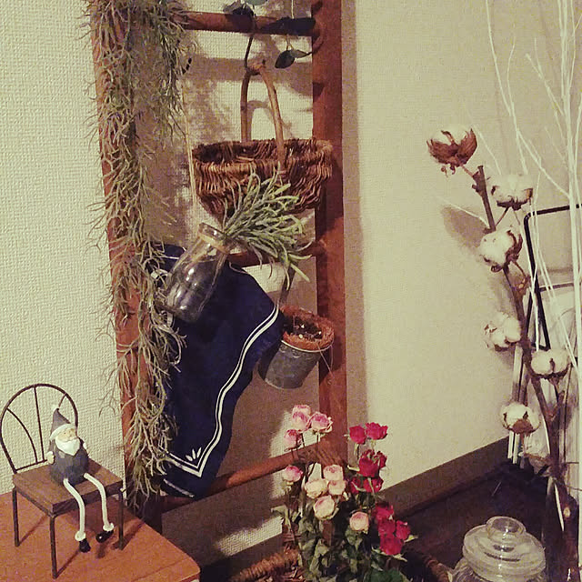pinkoさんの実例写真