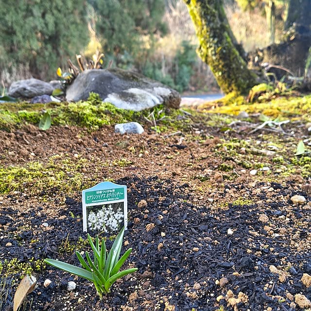 Rubiconさんの部屋