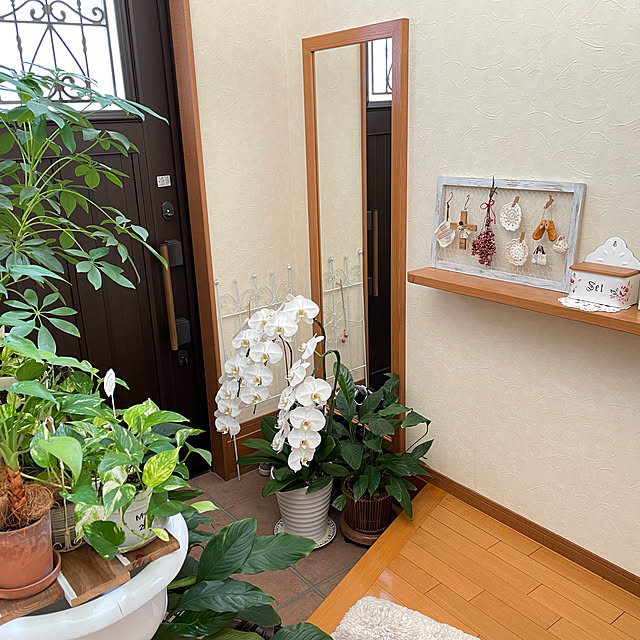 mippoko345さんの実例写真