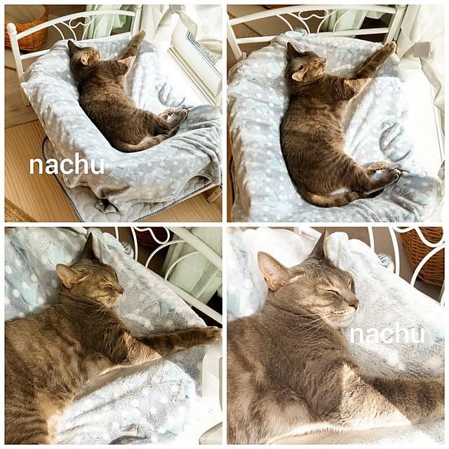nachuさんの実例写真