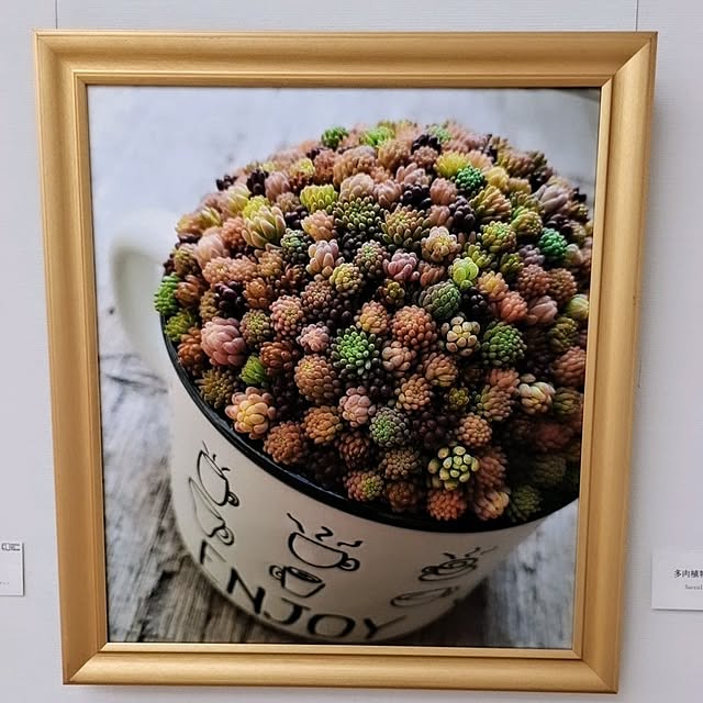 noaさんの実例写真